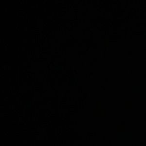 Meet your Posher, Alexandre